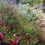 Casa Monteverdi Holiday home *