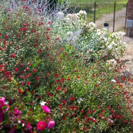 Casa Monteverdi 別荘 *